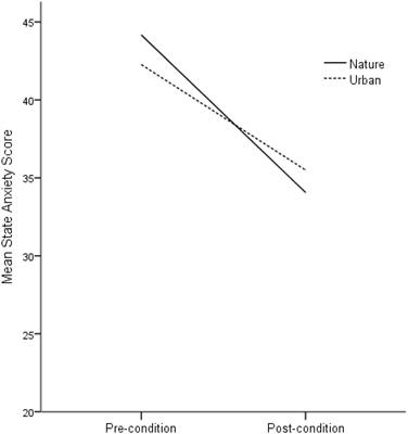 Nature-Based Guided Imagery as an Intervention for State Anxiety